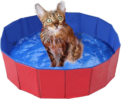 Piscina pieghevole per cani - piscina,