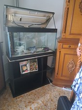 Acquario Con Mobile