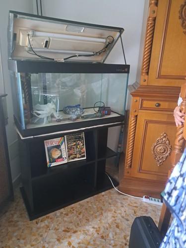 Acquario con mobile - acquario,