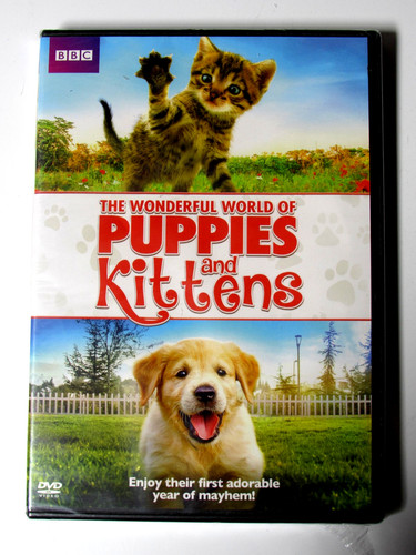 The wonderful world puppies - wonderful, of