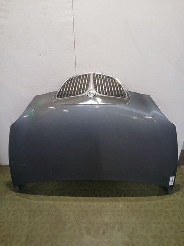 51872629 cofano lancia ypsilon - cofano,