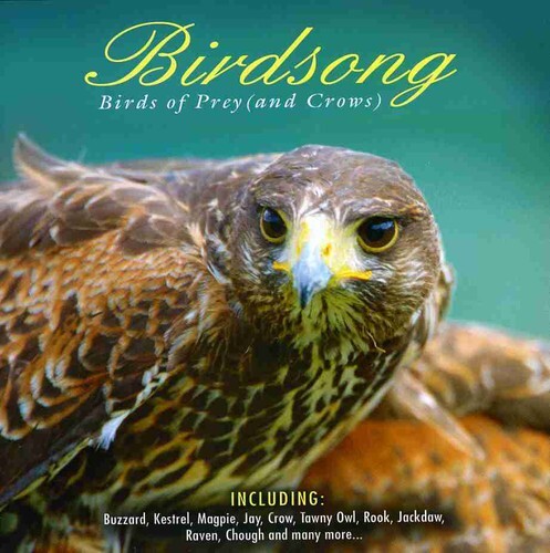 Birdsong birds prey - birds,