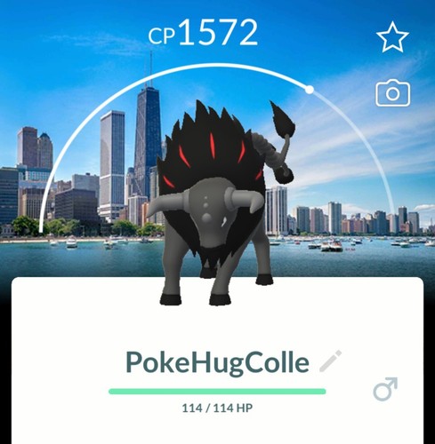 Tauros chicago background - chicago,
