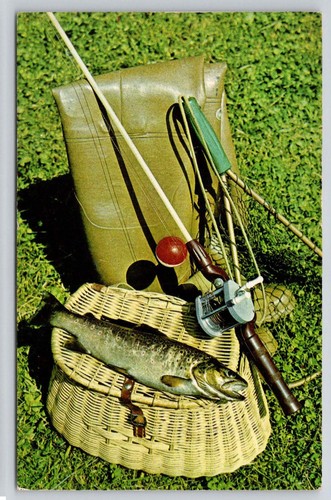 Attrezzatura pesca natura - attrezzatura,