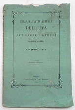 ZUMAGLINI Della malattia