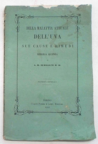 Zumaglini della malattia - della,