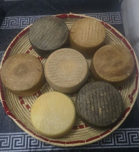 Pecorino semi stagionato - semi,