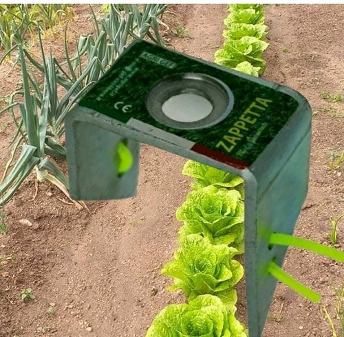 Testina zappetta fresa - testina,