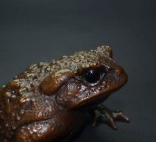 4.7 inch Casting Bronze Frog Toad Figurine,Copper Toad Crafts Artwork Desk Decor