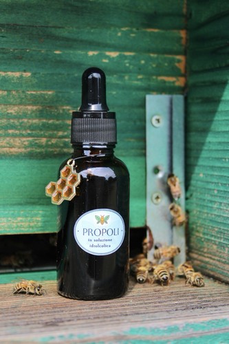 Propoli soluzione alcolica - in,