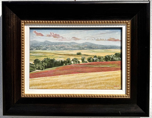 Dipinto olio tela firmato - dipinto,