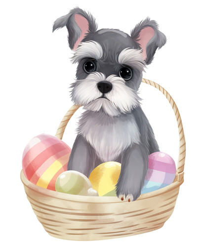 Adesivo auto schnauzer nano - auto,