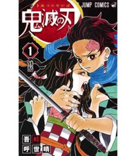Demon Slayer Volume 1 First