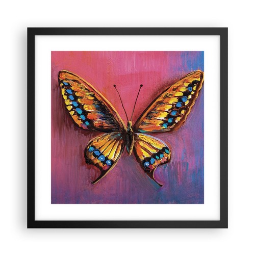 Poster 40x40cm farfalla - 40x40cm,