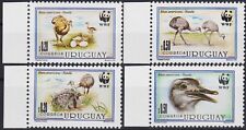 Uruguay 1993 WWF Greater Rhea/Ostrich/Emu Birds Wildlife Conservation 4v MNH