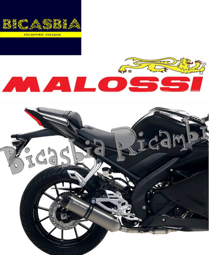 13244 marmitta malossi gp - malossi,