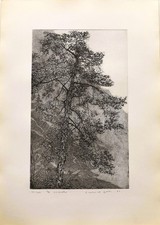 FEDERICA  GALLI  acquaforte-Il