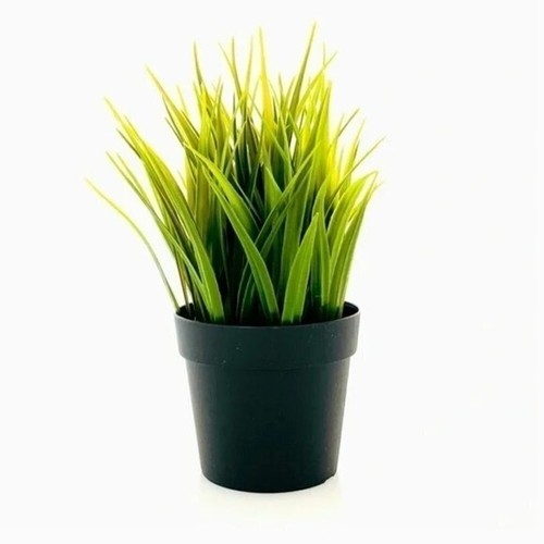 Ikea fejka pianta erba di - fejka,