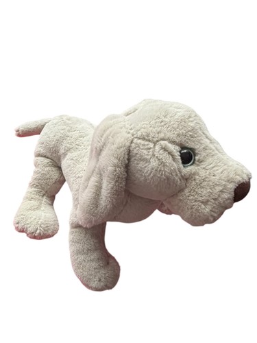 Ganz webkinz grigio - webkinz, weimaraner