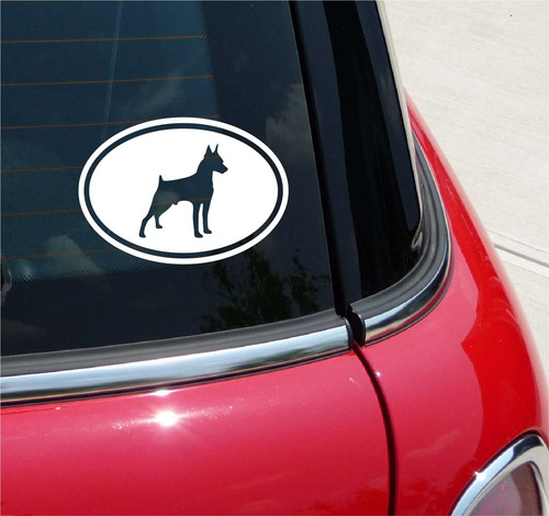 Euro miniatura pinscher - miniatura, mini
