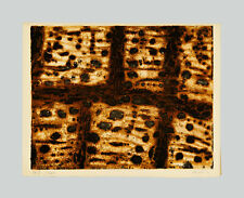 Zoran MUSIC - "Pierres sur le Carse", 1958 - Acquaforte, 25 x 32,5 cm