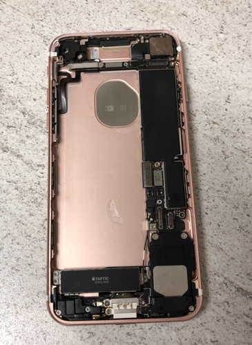 Custodia posteriore apple - custodia,