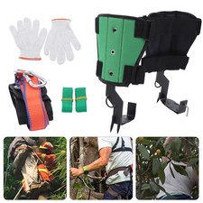 Set 2 Ingranaggi Albero