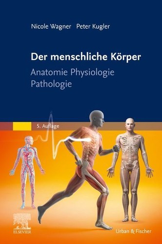 Der menschliche körper - der,