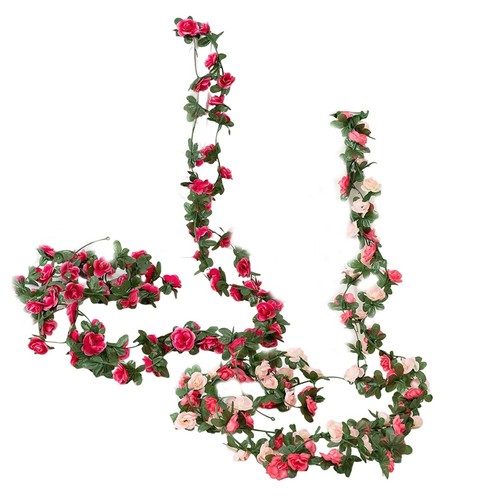 Migliora bellezza della tua - migliora,