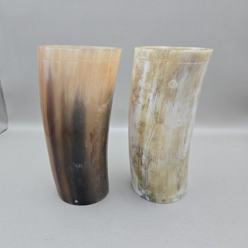 Coppia corno mucca toro - coppia,