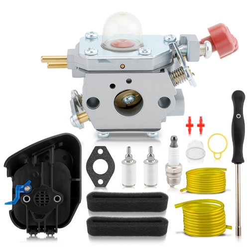 Carburatore per