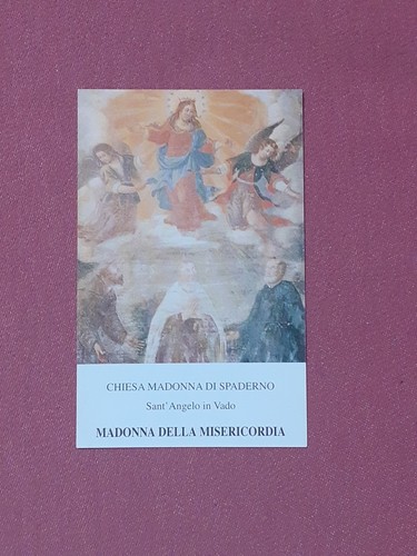 Santino madonna della - santino,