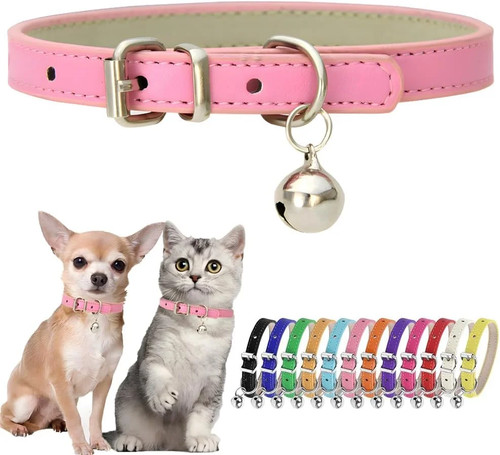 Collare per cani rosa - cani, xxs