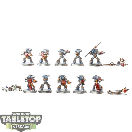 Cavalieri grigi squadra - grigi,