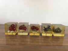 Stock Di 5 Bomboniere Anni 70/80 Fiore In Cubo Di Resina Vintage