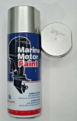 Vernice spray grigio - spray,