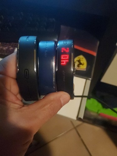 Polar loop modello 0c - polar,