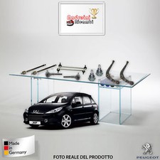 KIT BRACCETTI 10 PEZZI PEUGEOT 307 2.0 HDi 66KW 90CV DAL 2004 ->