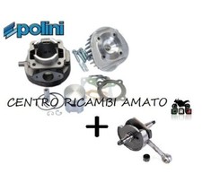 KIT GRUPPO TERMICO POLINI D.47