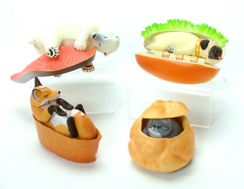 Weird stuff gatto - stuff,