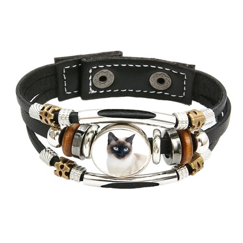 Siamese cat pet family brown - cat,
