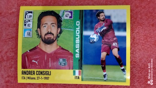 Figurine calciatori panini - figurine,