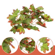 Accessori per terrario - terrario, piante