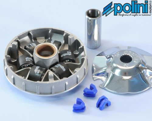 241 613 variatore polini - 241.613,