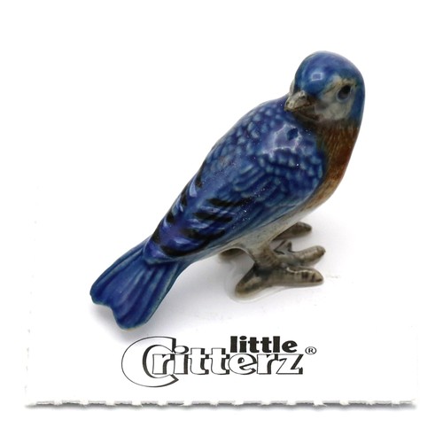 Little critterz bird eastern - bird,