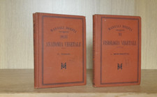Tognini anatomia vegetale - tognini, +