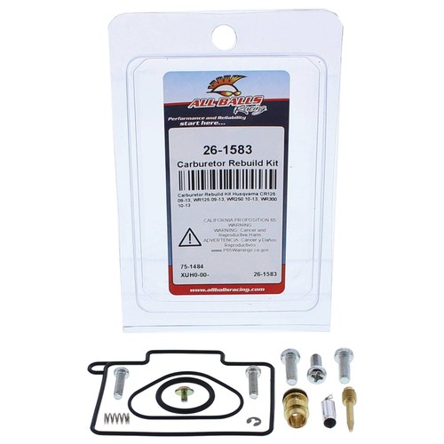 Kit revisione carburatore - kit,