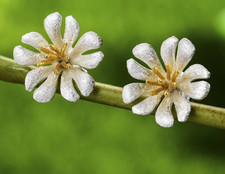 Orecchini fiore di loto