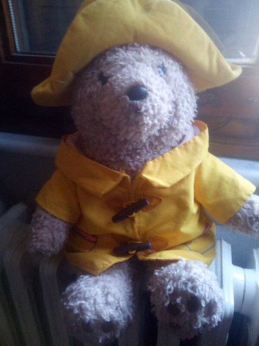 Peluche orso paddington bear - peluche, bear 