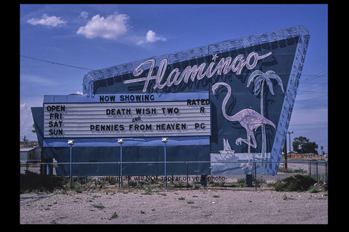 Foto vintage flamingo drive - foto,